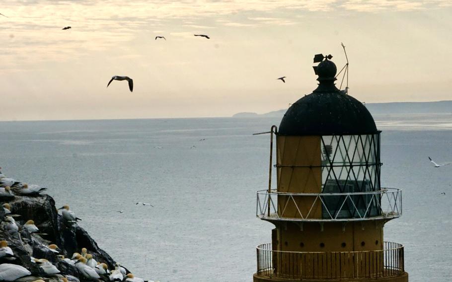 Now automated, Bass Rock Lighthouse was built in 1902 by David Stevenson, cousin of the author Robert Louis Stevenson. 