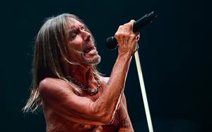 Iggy Pop sings into a microphone.