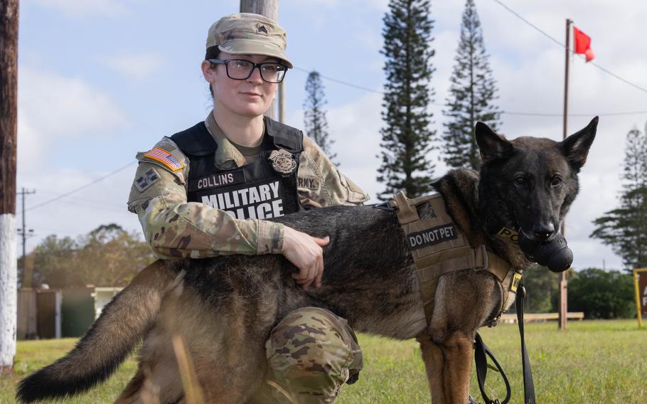 U.S. Army Sgt. Stacey Collins a military working dog handler, poses with U.S. Army military working dog Hugo, both with the 8th Military Police Brigade, 8th Theater Sustainment Command, Feb. 07, 2024, Schofield Barracks, Hawaii.