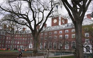 A student walks through the courtyard outside Eliot House at Harvard University, Tuesday, April 15, 2025, in Cambridge, Mass. (AP Photo/Charles Krupa)
