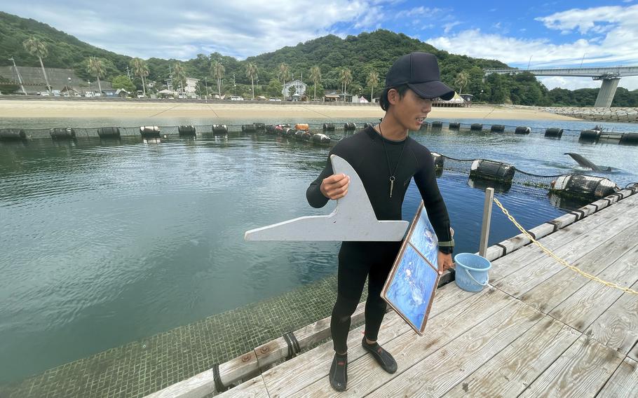 A guide at Dolphin Farm Shimanami provides a 20-minute safety brief in Japanese before guests enter the water but a pamphlet is available in English with the same information.