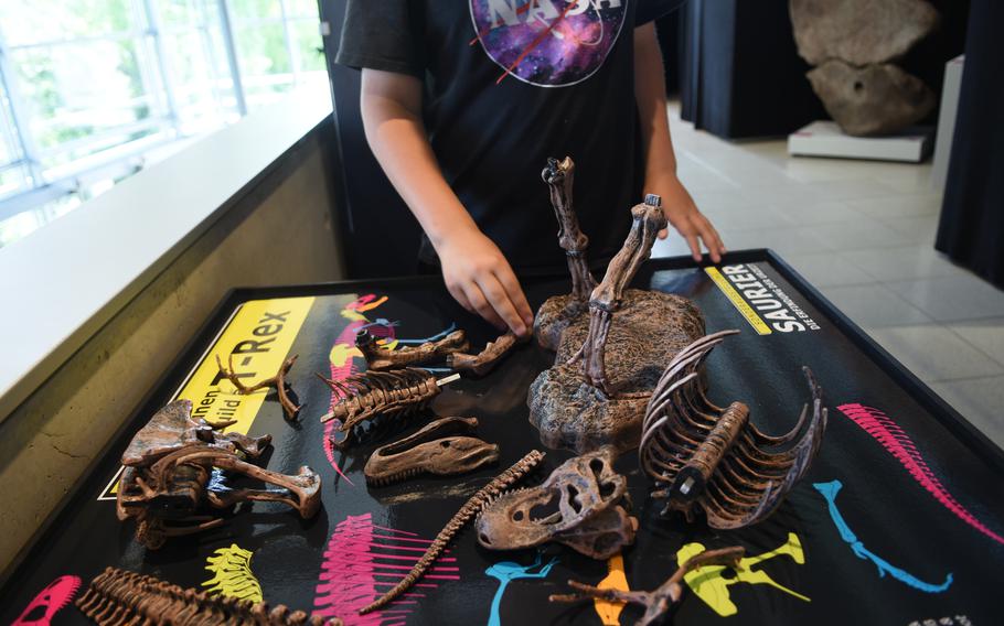 A natural history museum on the grounds of Lichtenberg Castle in Thallichtenberg, Germany, allows visitors to try their hand at putting together a model of a Tyrannosaurus rex.