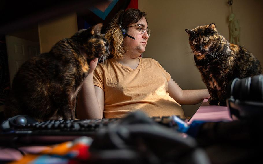 Rin does her software support job while her cats, Wrecker and Zoey, keep her company.