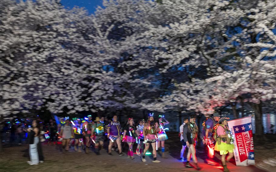 A group of hikers wearing glowing attire walk underneath cherry blossom trees
