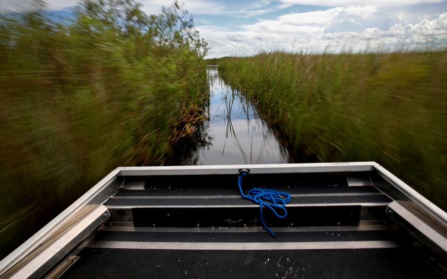 Python hunter Dave Hackathorn pilots his airboat through the Everglades, near Weston, Fla., on Aug. 12, 2022.