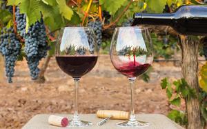 Baumholder Outdoor Recreation is offering a trip to France for wine tasting on March 16.