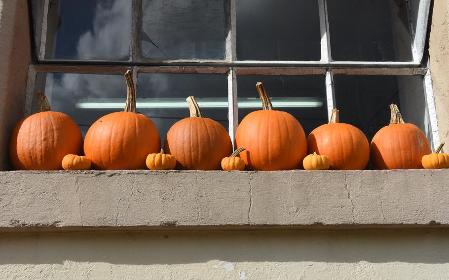 Tiny pumpkins line a window ledge at Hitscherhof farm in Massweiler, Germany. The farm sells numerous varieties of pumpkins, squash and gourds for eating and decoration. Its farm shop is open through the end of October.