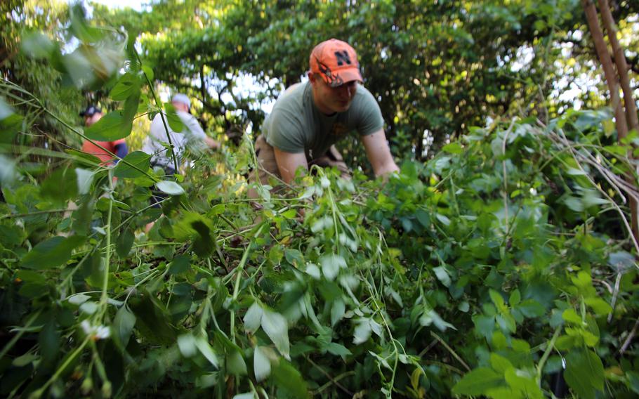Navy Petty Officer 2nd Class Brandon Birkel pulls up thick vines during "Jungle Attack" at White Beach Naval Facility, Okinawa, Friday, Feb. 17, 2023.
