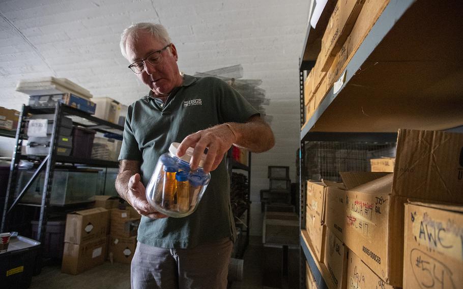 U.S. Geological Survey research biologist Robert Fisher on Wednesday, Dec. 14, 2022, in Irvine, Calif., examines a jar containing vials of invertebrates collected from pitfall traps more than 20 years ago. The vials are part of his 25-year collection stored in a concrete and steel WWII munitions bunker on the former El Toro Marine Corps Air Station.