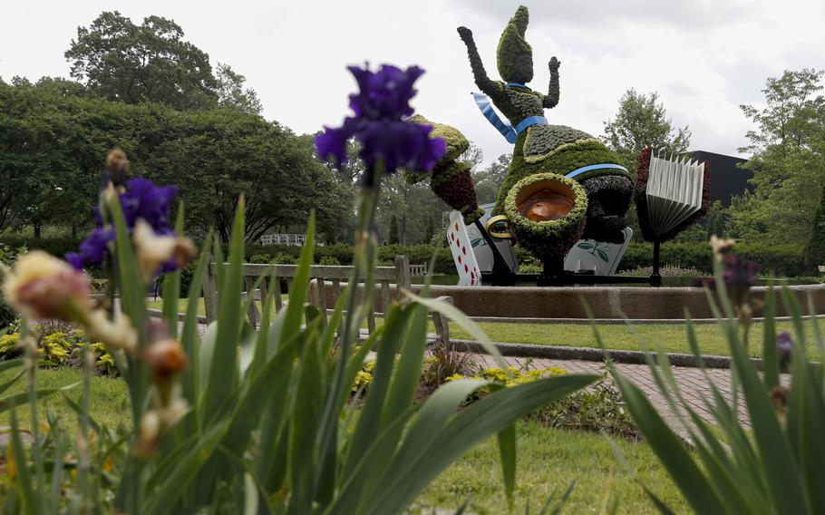 An Alice topiary stands in the “Alice’s Adventures in the Garden” exhibit at Memphis Botanic Garden May 10 in Memphis, Tenn. The exhibit will remain open until Oct. 31. 