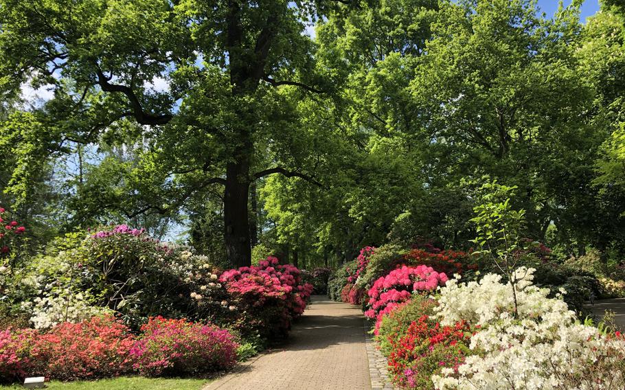 Walking paths and seasonal gardens are seen throughout the 100-acre Luisenpark in Mannheim, Germany.