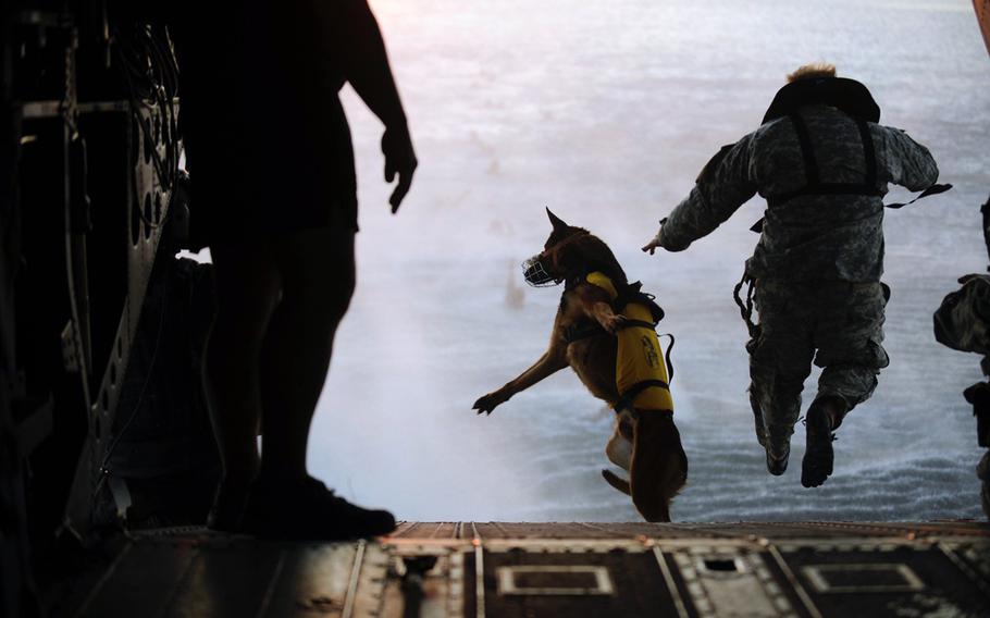 Animal Cloud, of Fort Worth, Texas, aims to digitize health information for the estimated 1,600 working dogs in the Defense Department using the Battlefield Assisted Trauma Distributed Observation Kit, or BATDOK.