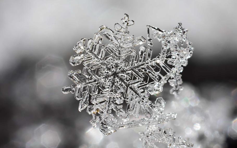 A snowflake crystal as seen in the Czech Republic on Nov. 29, 2021.