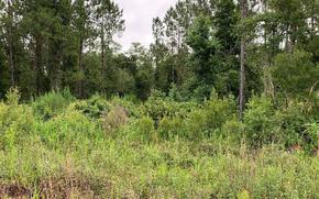 A 157-acre tract southeast of Camp Blanding was bought for conservation with funding routed through the Clay County Development Authority and a federal defense readiness grant program.