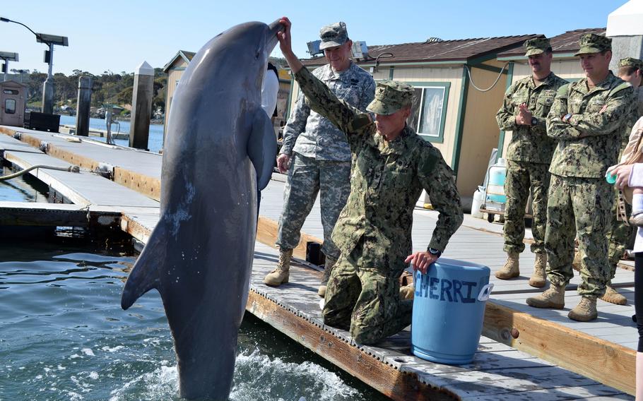 Gen. Martin E. Dempsey, chairman of the Joint Chiefs of Staff, receives a capabilities brief on the U.S. Navy Marine Mammal Program by sailors assigned to Explosive Ordnance Disposal Mobile Unit 1. The Marine Mammal Program uses bottlenose dolphins operated by EODMU-1 as a means of locating and marking mines that are on the sea floor, tethered in the water column or in shallow water.