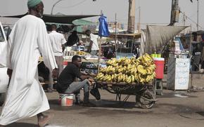 A man sells bananas at a market during a cease-fire in Khartoum, Sudan, Saturday, May 27, 2023. 