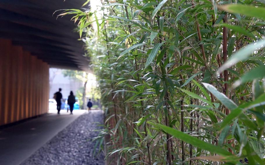 A long walkway to the entrance of Nezu Museum takes visitors from Tokyo's busy streets to the world of pre-modern Japanese and East Asian art.