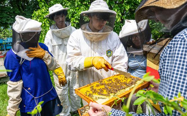 Students dressed in protective gear check on bees with their teacher. 