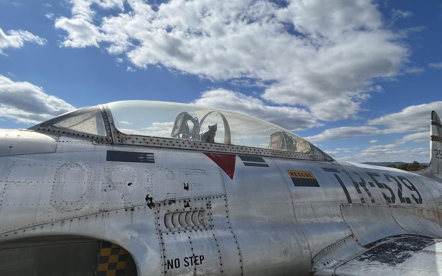 When kittens were spotted playing in the cockpit of a Lockheed T-33 Shooting Star training jet, Hickory Aviation Museum staff and volunteers knew it was time to find them a new home.