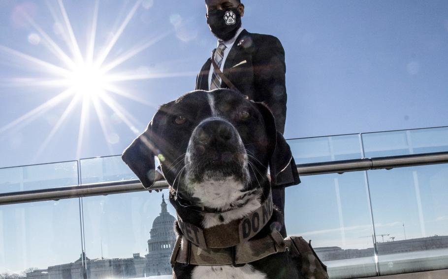 Veteran David Crenshaw and his service dog Doc at a Capitol Hill news conference to promote House bill, H.R. 1022, the Puppies Assisting Wounded Servicemembers (PAWS) Act, March 3, 2021.