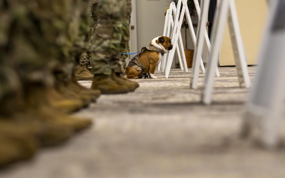 Rocky in the distance, wearing his camouflage, with soldiers lined up next to him.