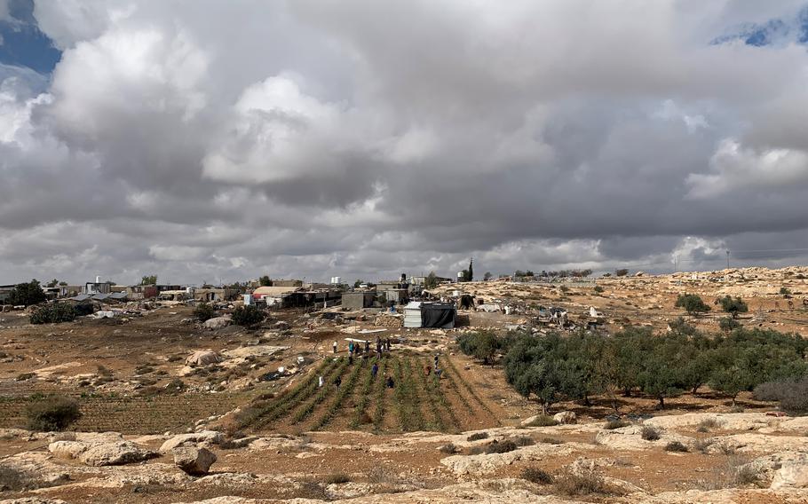 Palestinians harvest eggplants near the Israeli settlement of Susya in the South Hebron Hills area of the West Bank. They are assisted by Jewish volunteers from Israel who regularly come to help prevent violence and harassment of Palestinian farmers by nearby settlers.