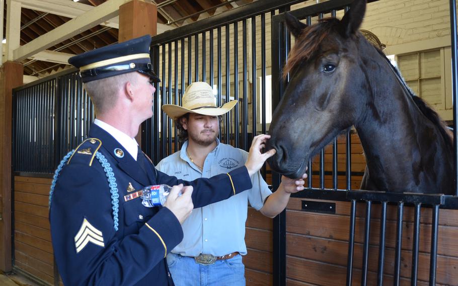 Sgt. Jacob Sanlin pets McCall following a ceremony to dedicate the 3-year-old horse to the Military Funeral Honors-Caisson Platoon at Joint Base San Antonio-Fort Sam Houston, Texas, on Sept. 19, 2023. Sanlin, a member of the platoon, has helped train McCall to participate in funerals at Fort Sam Houston National Cemetery. 