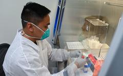 Senior Airman Jonathan Chea, a laboratory technician, prepares a COVID-19 test sample at Andersen Air Force, Guam, on Feb. 4, 2022. 