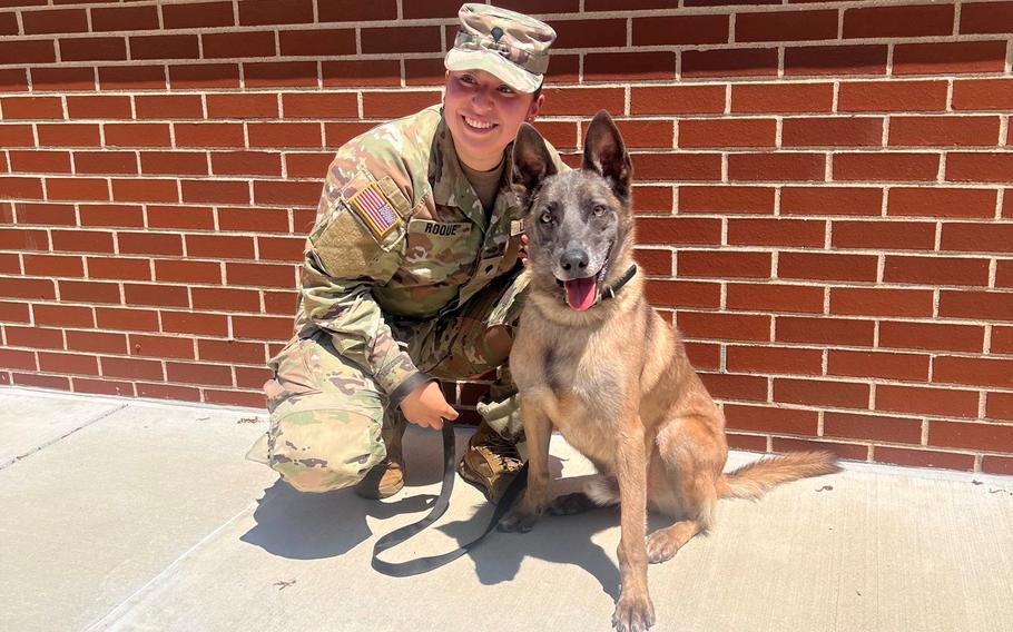 A soldier kneels down next to a dog.