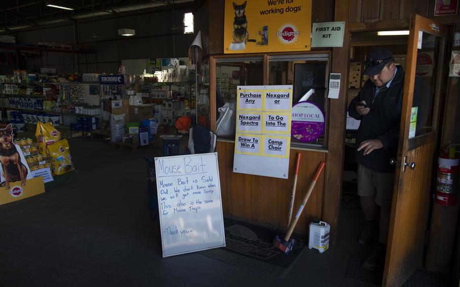 An agriculture supply shop has completely run out of mouse bait and traps in Wellington, NSW, Australia, on May 28, 2021.