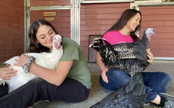 Cheyanne Weiner, left, and her mom, Gentle Barn Founder Ellie Laks, have a turkey cuddling session at their nonprofit rescue farm in California. 