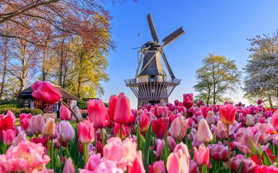 The Netherlands’ Keukenhof park, Amsterdam and tulips continue to figure into several base tours’ offerings. 