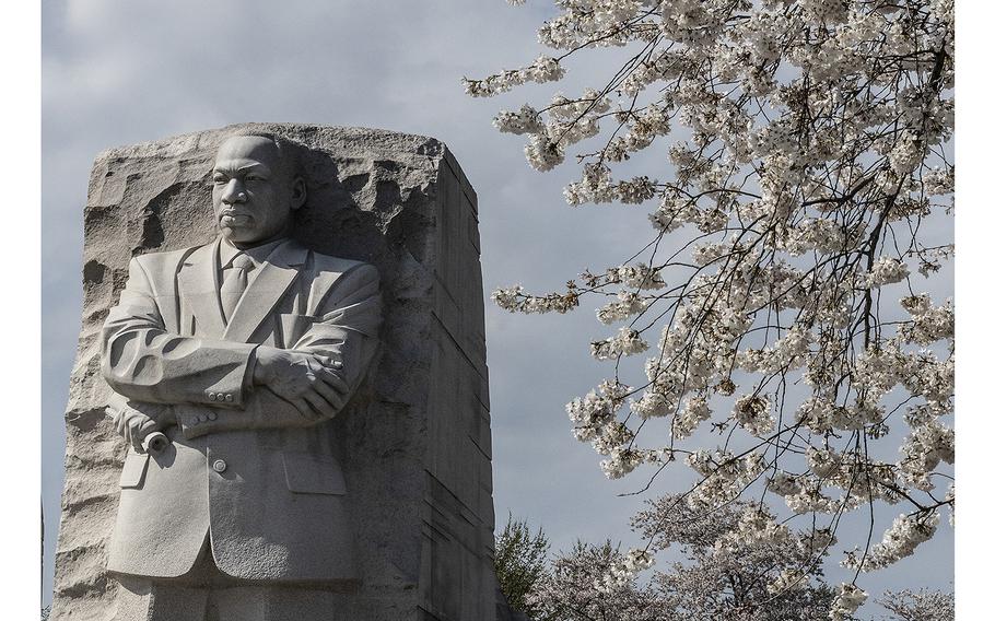 Cherry blossoms at the Martin Luther King, Jr. Memorial in Washington, D.C., March 23, 2023.