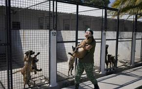 A veterinary soldier carries a Belgian Malinois puppy back to its kennel after a training session to become an Army dog at the Mexican Army and Air Force Canine Production Center in San Miguel de los Jagueyes, Mexico, Tuesday, Sept. 26, 2023. 