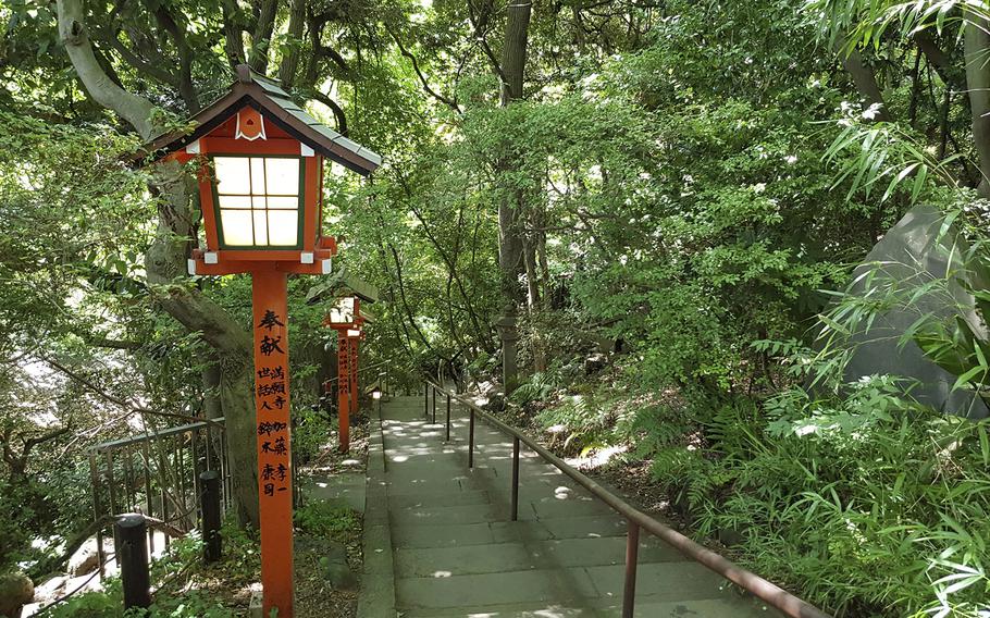 Todoroki Ravine Park stretches a little more than half a mile in the southern part of Setagaya ward in Tokyo.