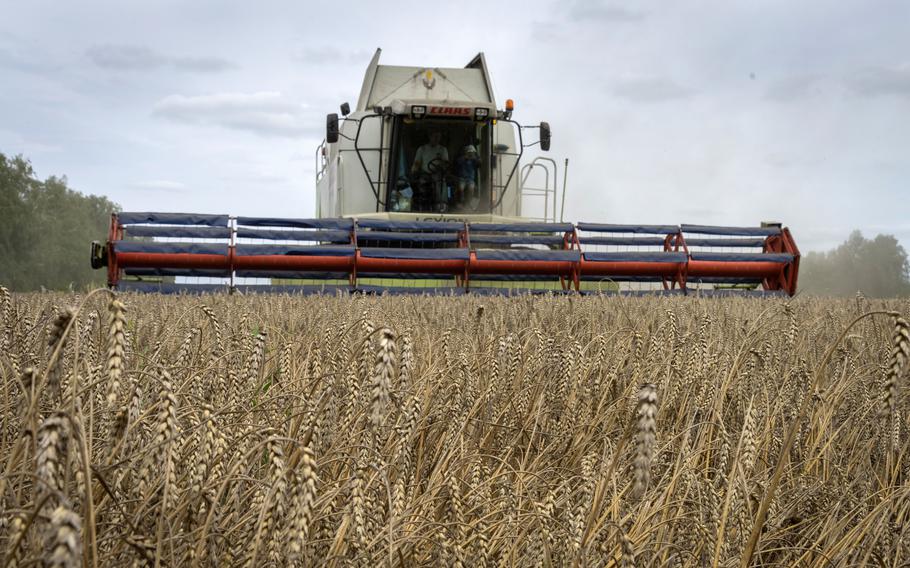 A harvester collects wheat in the village of Zghurivka, Ukraine, Aug. 9, 2022. The Biden administration Thursday, Sept. 15, 2022, slapped sanctions on dozens of Russian/AP officials and a number of Russian companies for human rights abuses and the theft of Ukrainian grain. 