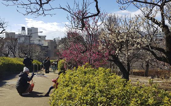 A woman leans down to take a photo of a child while other people walk along a path next to colorful trees in a Japanese park.