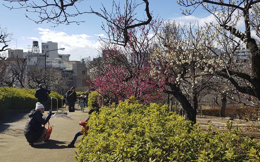 A woman leans down to take a photo of a child while other people walk along a path next to colorful trees in a Japanese park.
