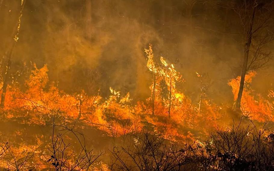 A fire rages in a forested area.