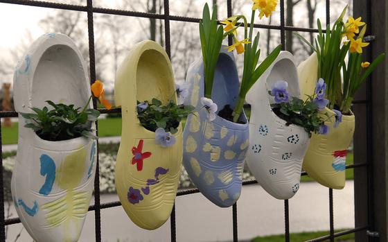 Hed: Shoes fit for a King, 2008

Lisse, Netherlands, Mar. 20, 2008:  Flowers grow out of traditional Dutch wooden shoes at a display at Keukenhof gardens.

This Saturday is a great time to visit the little Kingdom as Saturday April 26th the entire country will celebrate King's Day to celebrate the birth of King Willem Alexander. Every town, big or small, celebrates with music, food, games and often flea markets where locals put anything they want to get rid off for sale on their doorstep. The royal family itself will celebrate the day in Doutinchem this year, but the entire country is basically one big party.

Check out our events page to see if any tours from your base are heading to te lowlands. Be sure to wear some orange! https://www.stripes.com/living/europe_travel/events/

META TAGS: travel; netherlands; holland; national holiday