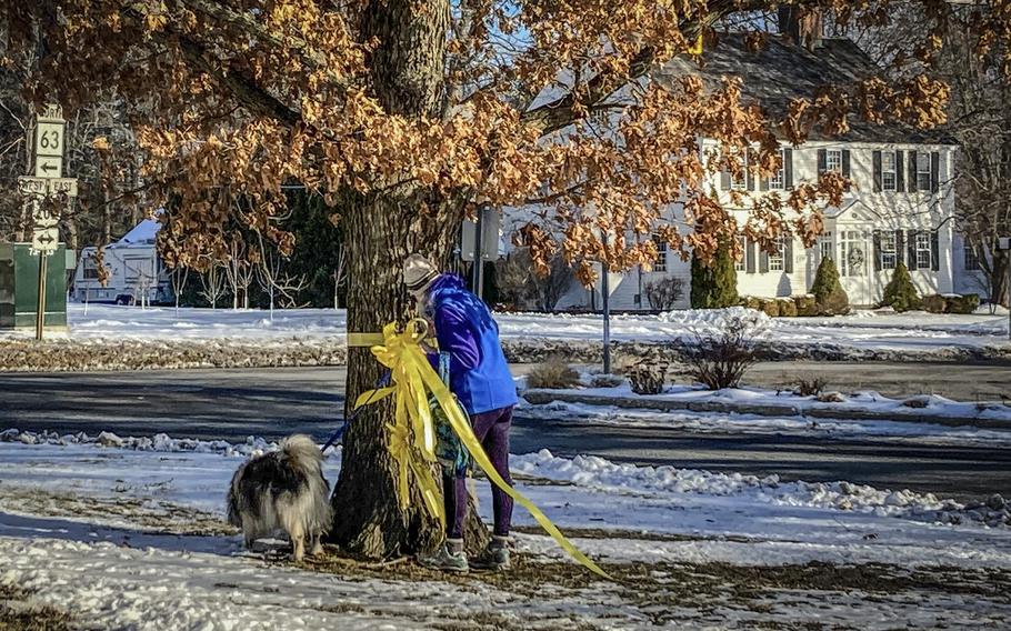 Gayle Carr, acting warden of the borough of Litchfield, Conn., removes a yellow ribbon honoring U.S. military service members from a tree on the Litchfield Town Green on Thursday, Jan. 13, 2022. Local officials’ decision to take down the ribbons, due to concerns other groups could put up their own displays, no matter how offensive, has angered some local residents.