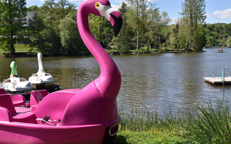 Pedal boats resembling birds on a lake.