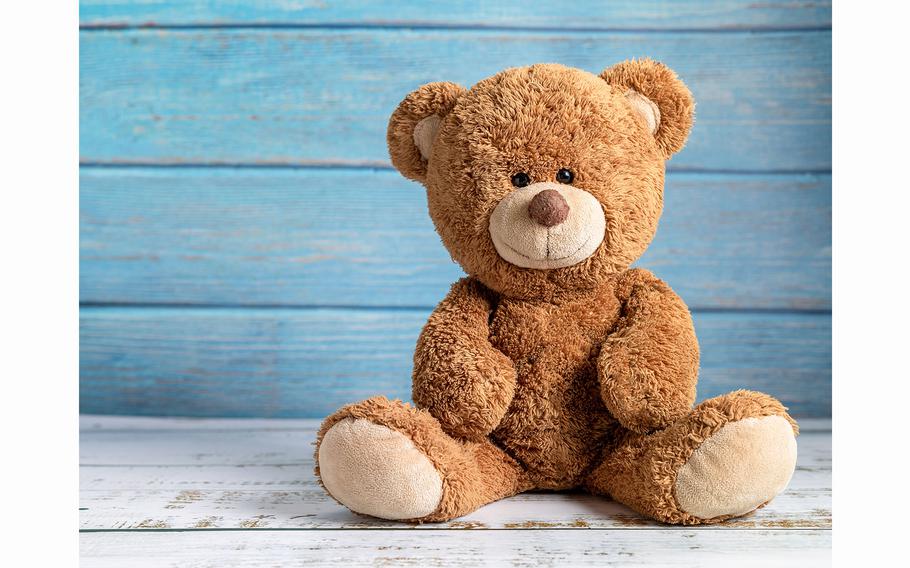 Authorities say a Navy petty officer brought a teddy bear with him when he flew to New York to have a sexual encounter after falling for bait that an FBI agent put out pretending to be a 13-year-old girl.