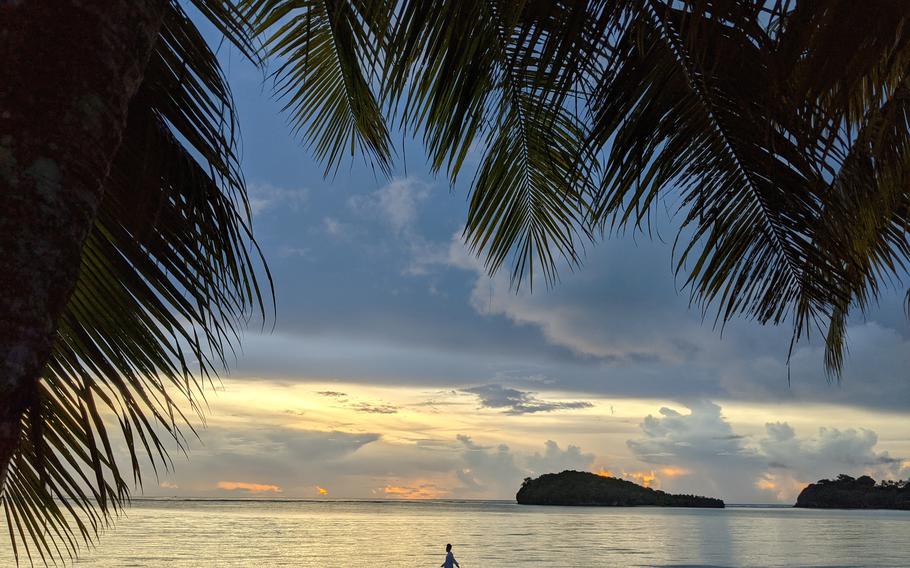 A woman walks her dog on a beach in Tamuning, where more businesses are reopening because of Guam's vaccination push and vaccine tourism. 