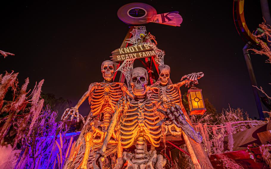 Knott’s Scary Farm in Buena Park, Calif., celebrates its 50th anniversary this year. 