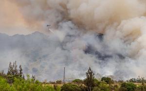 A helicopter, seen from a distance, drops water from a red bucket hanging underneath it on a fire burning a forested area as large plumes of smoke billow into the sky and obscure the view.