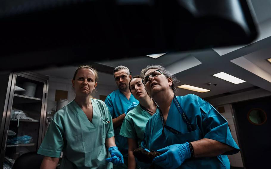 Tal Simmons, 61, of the Virginia Commonwealth University department of forensic science, far right, and Israeli medical professionals look at a CT scan of charred remains.