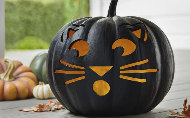 Balsam Hill’s jack-o-lantern with a feline face. Cats, celestial imagery and ravens are decorative elements that have a cool Halloween vibe without being overly scary.