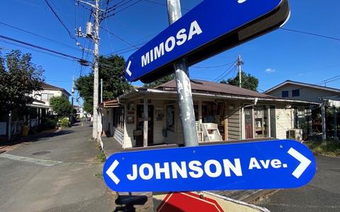 Johnson Town sprang up as post-World War II housing for American military families assigned to what was then known as Johnson Air Base north of Tokyo. 