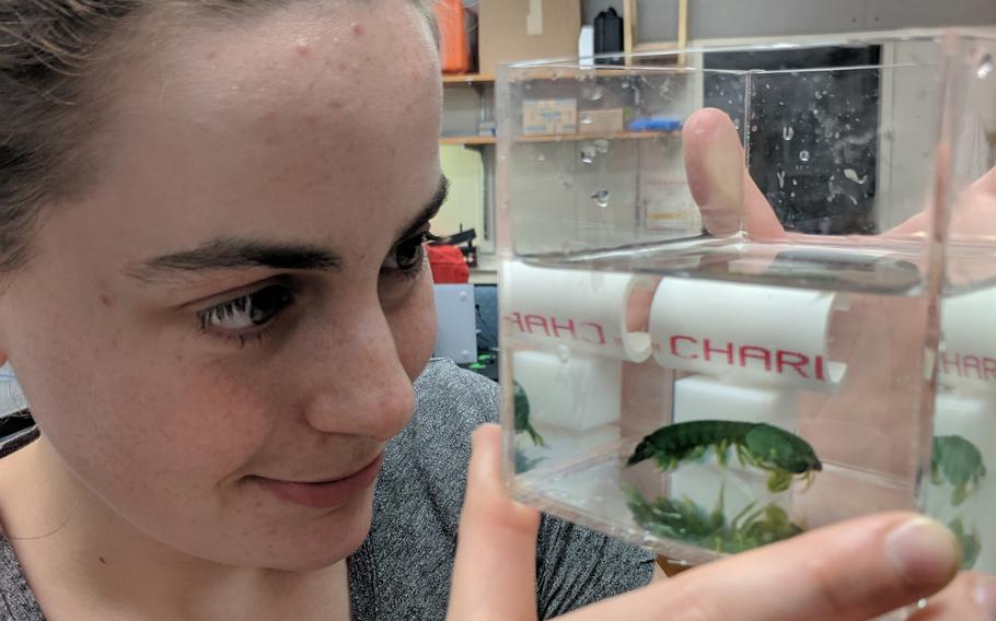 SEAS graduate student Emma Steinhardt studies how the mantis shrimp generates extremely high acceleration in these short duration movements.